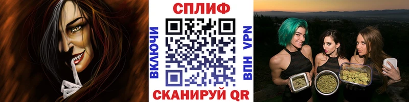 Какие есть наркотики Новодвинск A PVP  Cocaine  Метадон  Канабис  ГАШ  Меф мяу мяу 