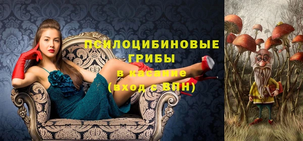spice Баксан