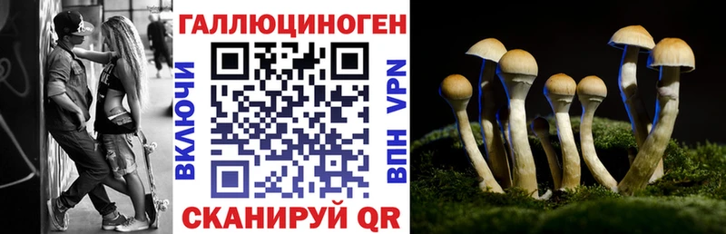 Псилоцибиновые грибы мухоморы блэк спрут как войти Новодвинск купить закладку